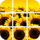 Sliding Block Puzzle - SlidePhoto